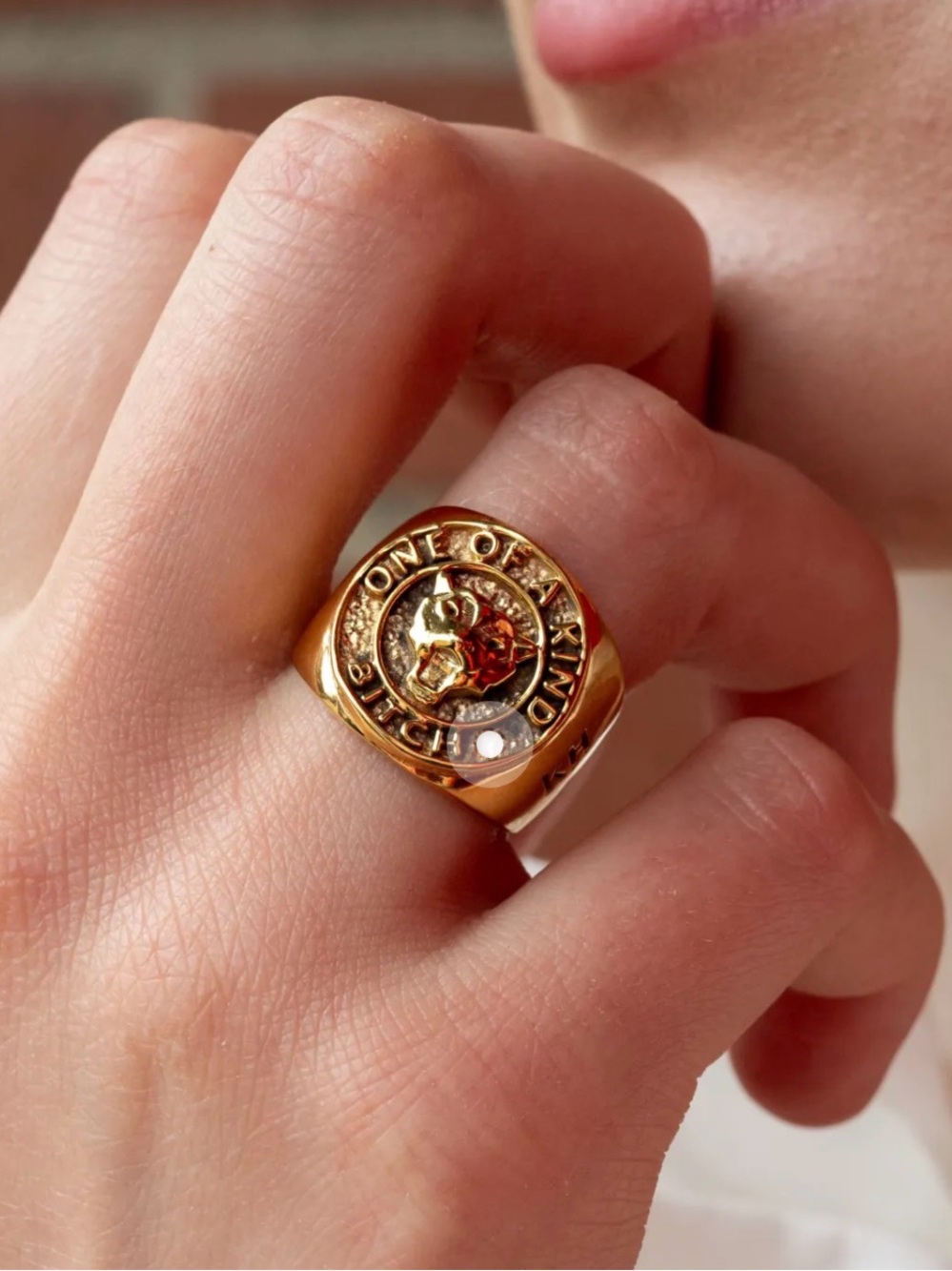 Gold Lion Signet Ring 🐯